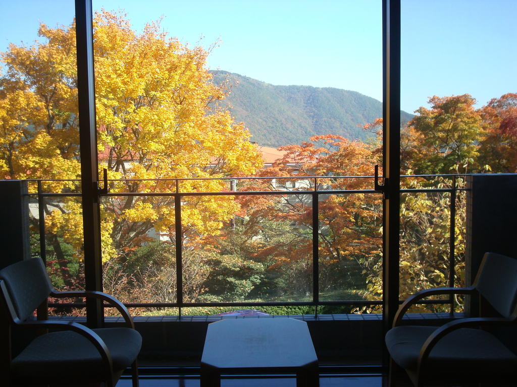Gora Saryo Hotel Hakone Camera foto